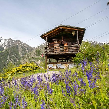 Korn-Stadel Arida Prata "Natur Pur" Grächen Dış mekan fotoğraf