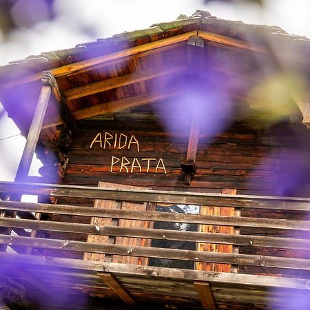 Korn-Stadel Arida Prata "Natur Pur" Grächen Dış mekan fotoğraf