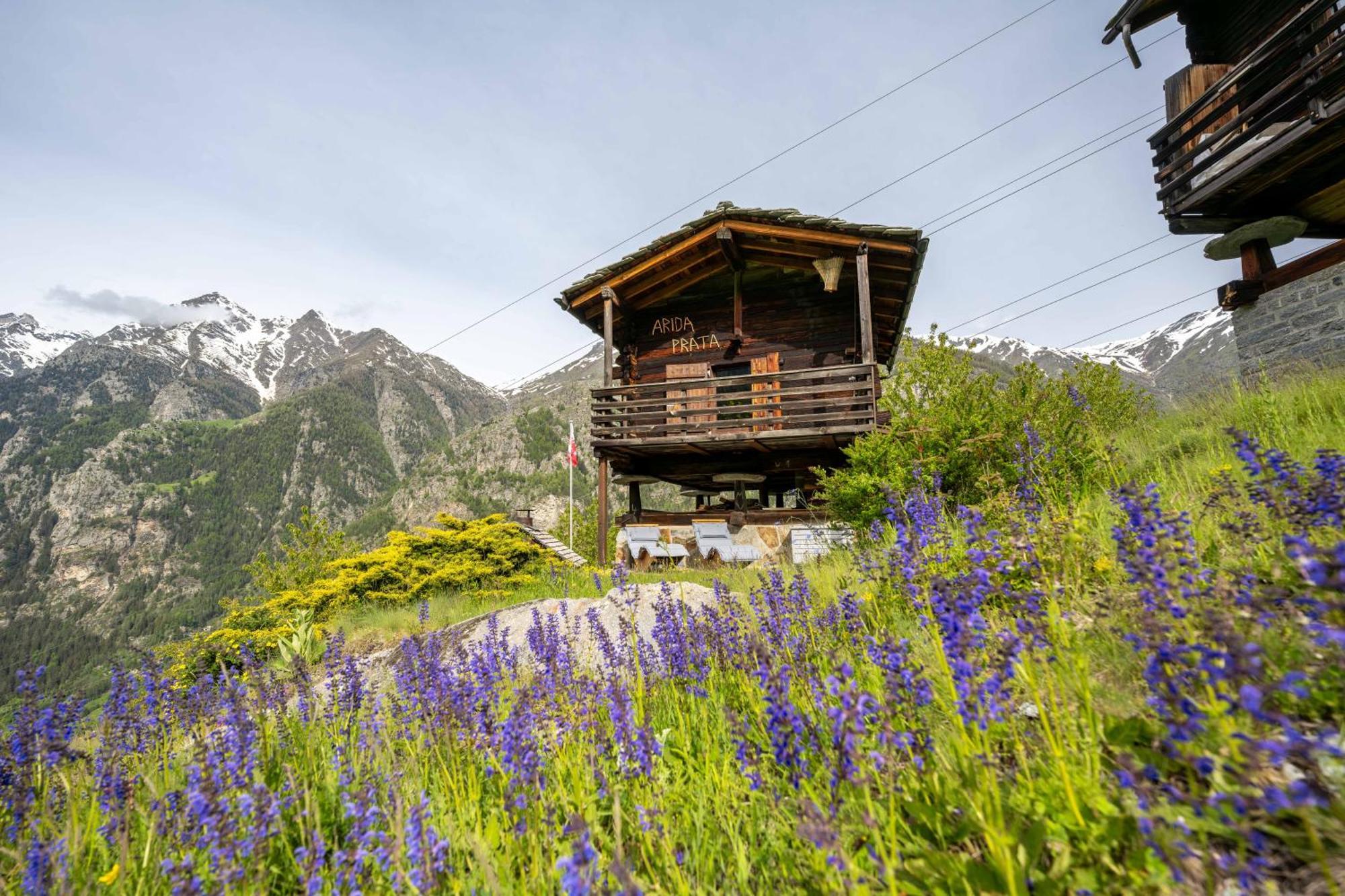 Korn-Stadel Arida Prata "Natur Pur" Grächen Dış mekan fotoğraf
