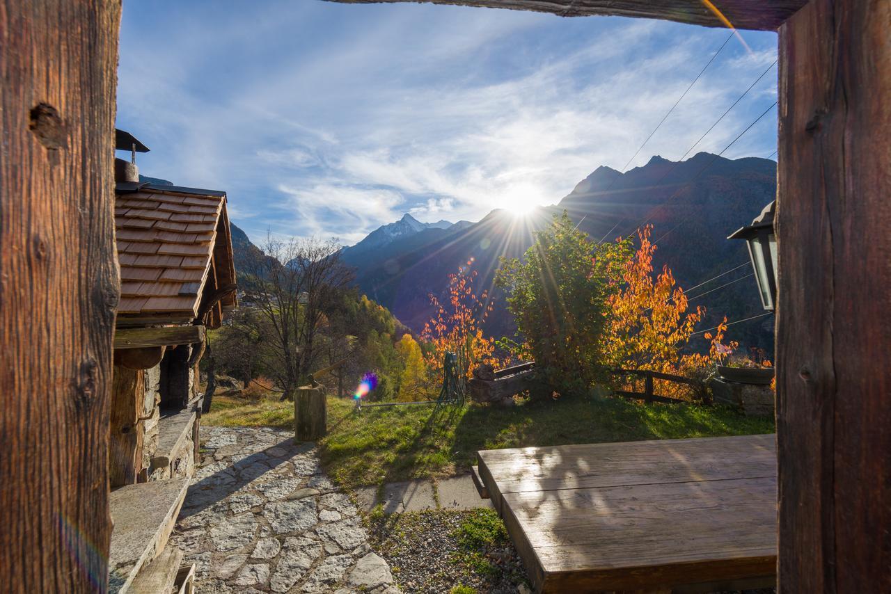 Korn-Stadel Arida Prata "Natur Pur" Grächen Dış mekan fotoğraf