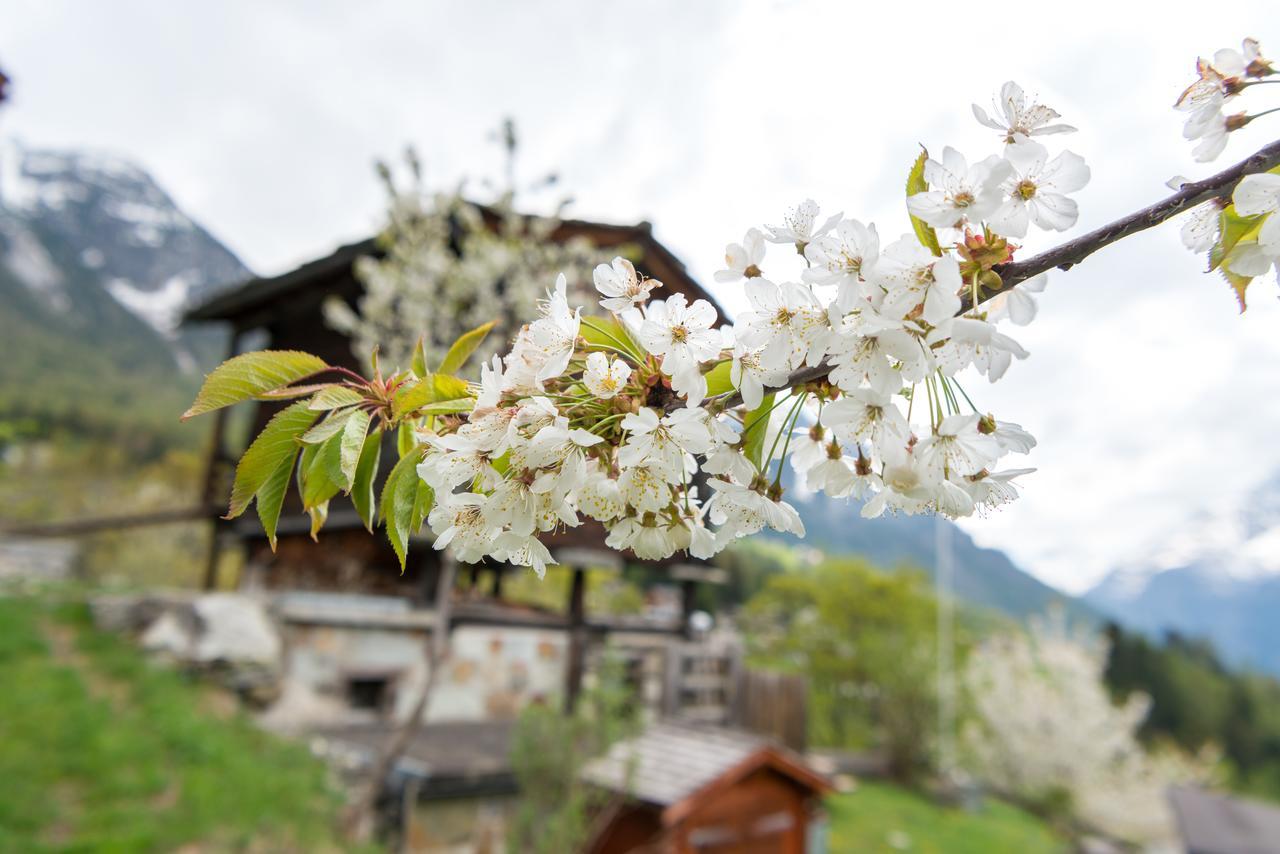 Korn-Stadel Arida Prata "Natur Pur" Grächen Dış mekan fotoğraf