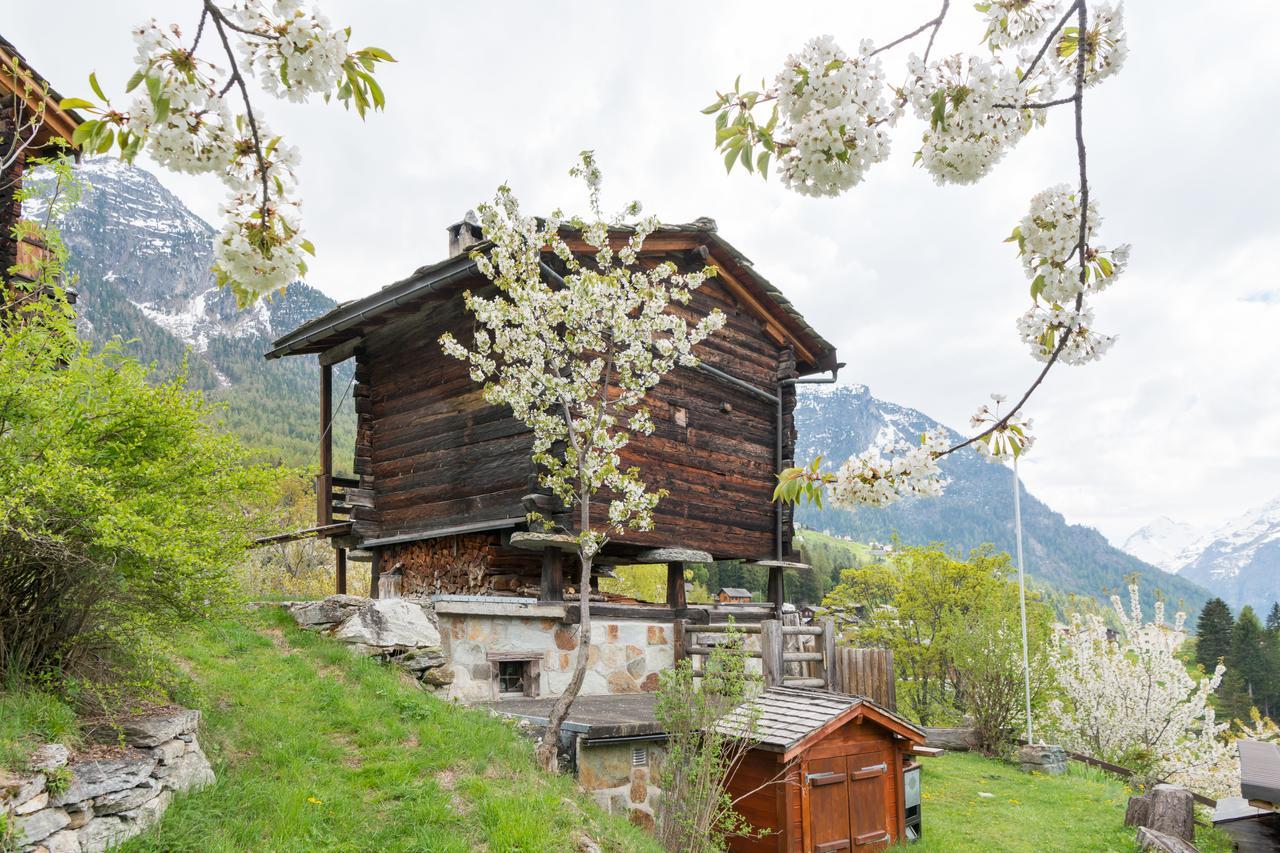 Korn-Stadel Arida Prata "Natur Pur" Grächen Dış mekan fotoğraf